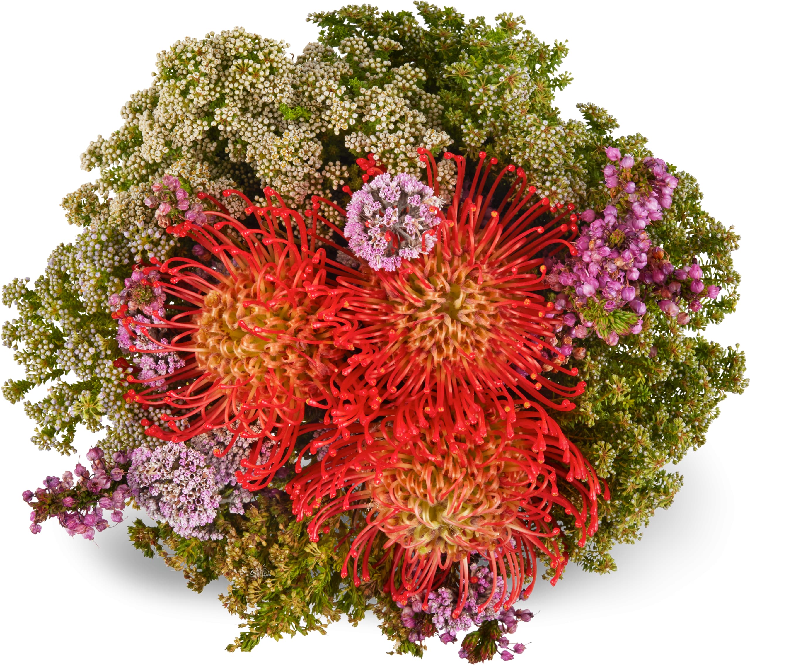 Migros Bouquet de verdure du Cap · 1 pz